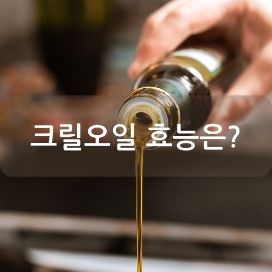 크릴오일 효능, 어떤 게 있을까?