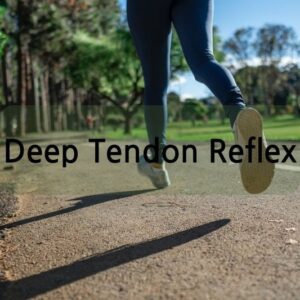 Deep Tendon Reflex