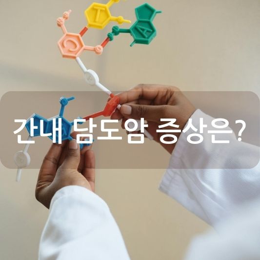 간내 담도암 증상, 알아두면 도움 되는 정보