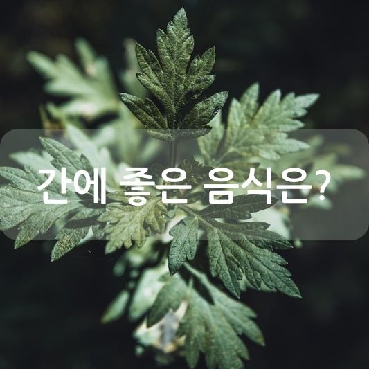 간에 좋은 음식, 평소에 챙겨 먹자