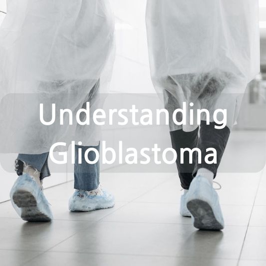 Understanding Glioblastoma: A Complex Brain Cancer