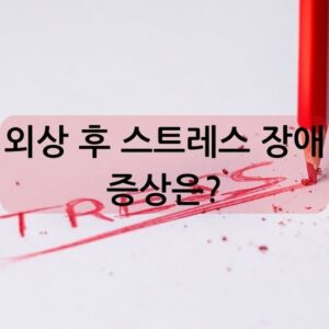 외상 후 스트레스 장애 증상