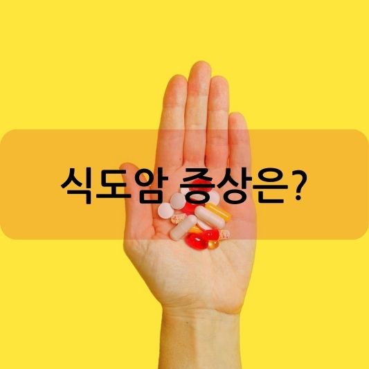 식도암 증상, 원인, 예방, 치료 방법 알아보기!