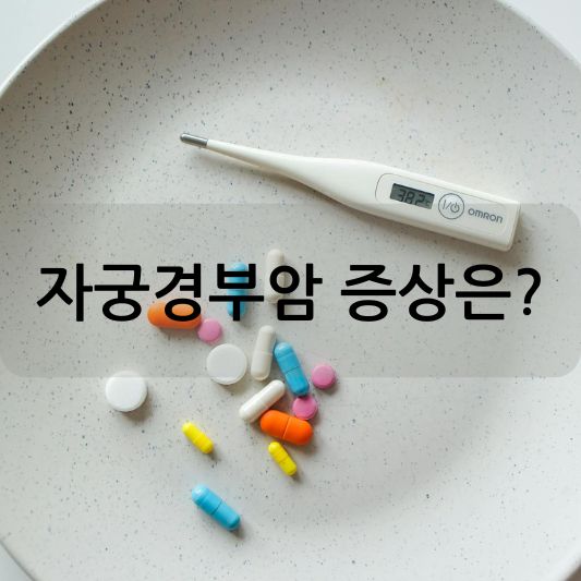 자궁경부암 증상:  위험 요인, 예방, 치료 방법 알아보기!