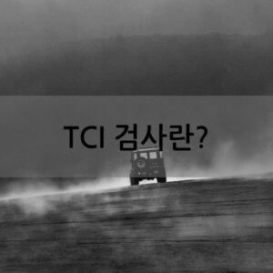 TCI 검사