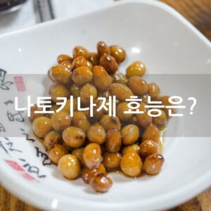 나토키나제 효능