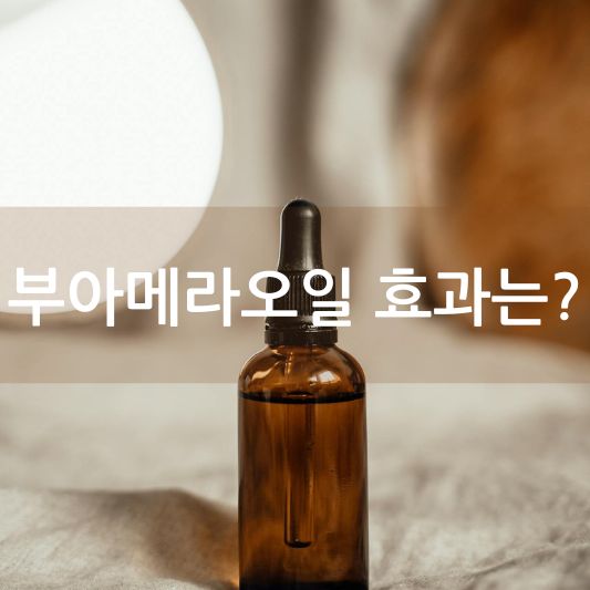 부아메라 오일: 효능과 부작용, 그리고 주의사항 알아보기!