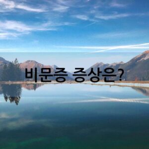 비문증 증상