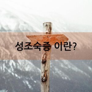 성조숙증