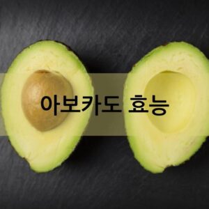 아보카도 효능