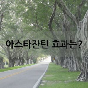 아스타잔틴 효과