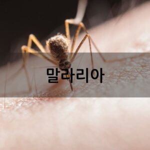 말라리아