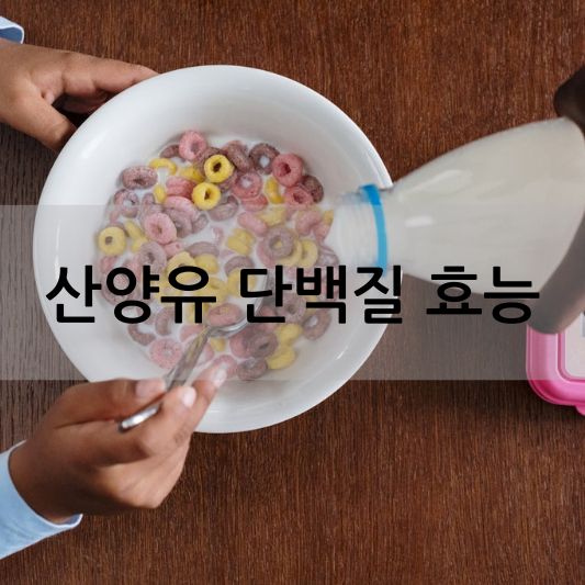 산양유 단백질 효과 알아보기!