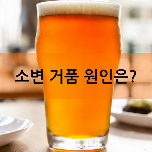 소변거품에 대한 모든 것: 원인, 증상 및 치료 방법 알아보기!