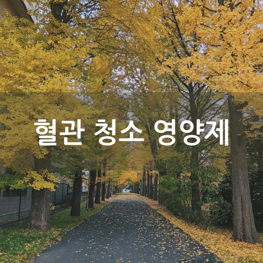 혈관 청소 영양제 추천 및 효능 알아보기!