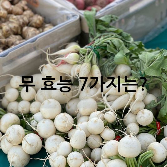 무 효능 7가지 알아보기!