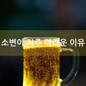 소변이 자주 마려운 이유