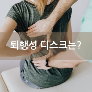 퇴행성 디스크