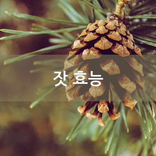 잣 효능과 활용법에 대하여 알아보기. - 실용적인 건강 팁