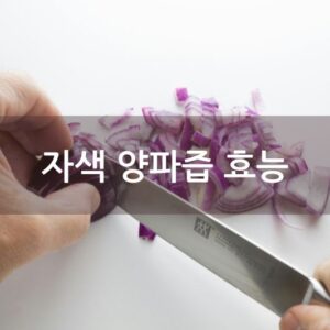 자색 양파즙 효능