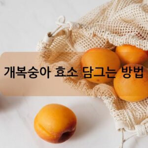 개복숭아 효소 담그는 방법 알아보기!