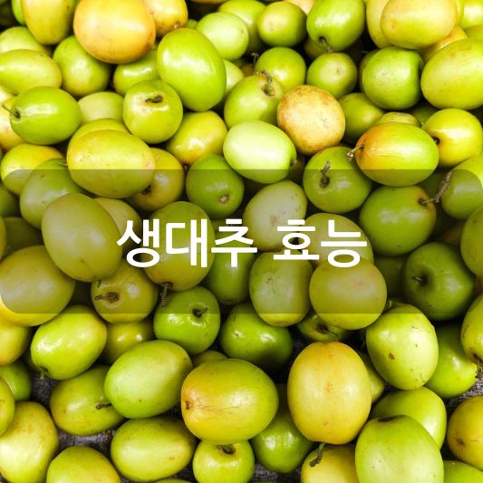 생대추 효능 및 먹는 방법 알아보기!