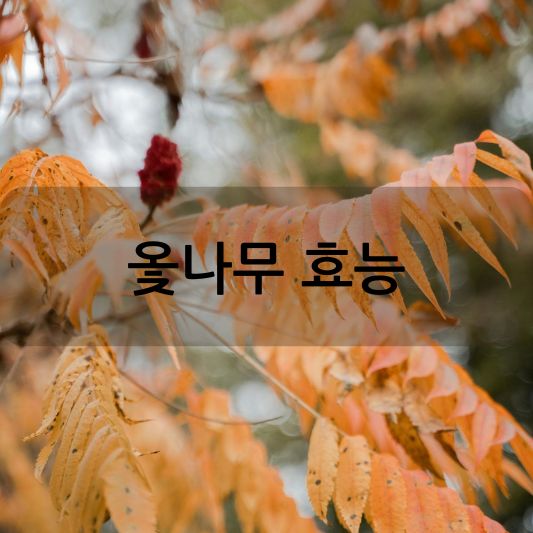 옻나무 효능: 항암, 면역력 강화, 그리고 부작용 주의 사항 알아보기!