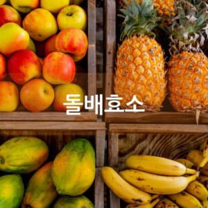 돌배효소 