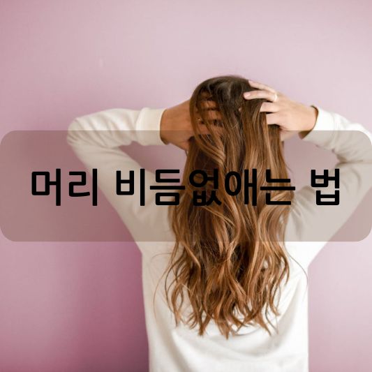 머리 비듬 없애는 법 완벽 가이드: 건강한 두피를 위한 방법 알아보기!