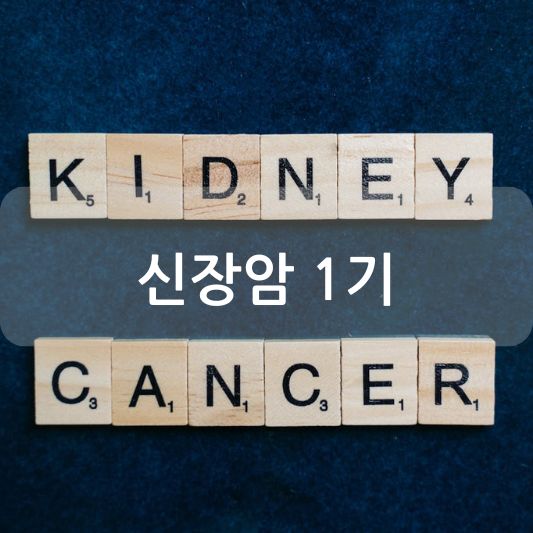 신장암 1기 : 증상, 치료, 예방 방법 알아보기!