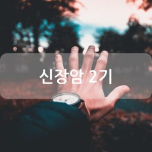 신장암 2기