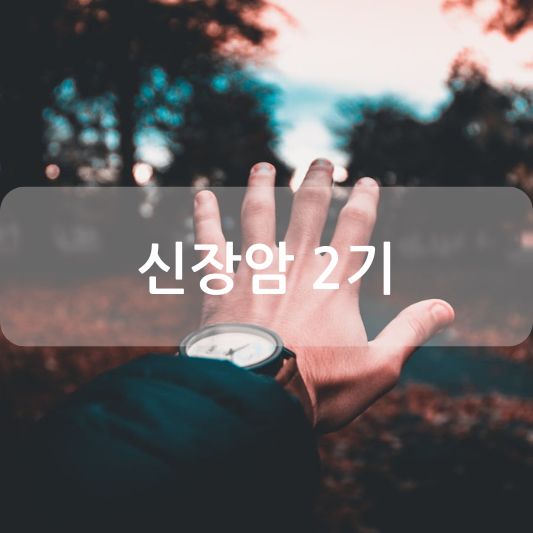 신장암 2기: 조기 발견과 효과적인 관리 방법 알아보기!