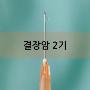 결장암 2기