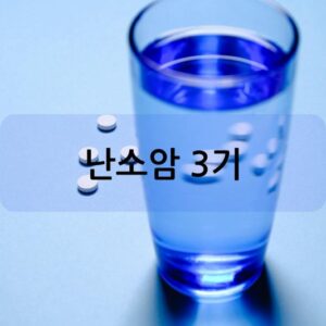 난소암 3기