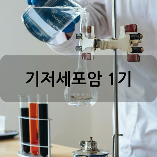 기저세포암 1기: 증상, 진단, 치료 방법 알아보기!