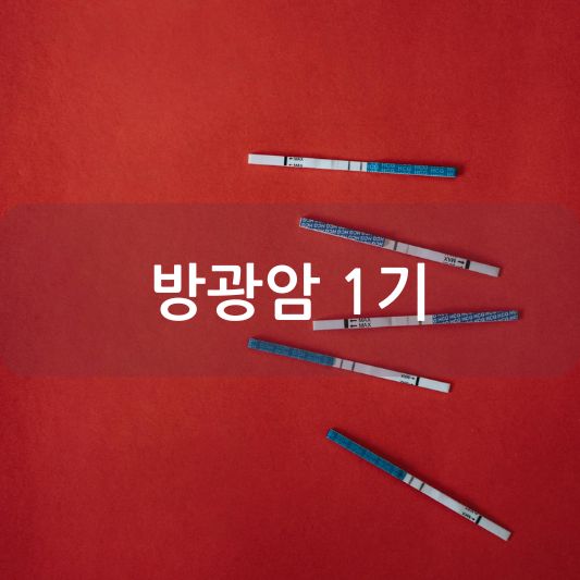 방광암 1기 : 증상, 진단, 치료 방법 알아보기!