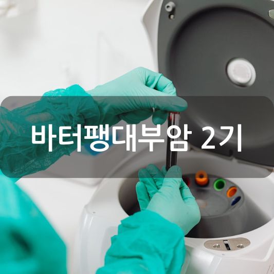 바터팽대부암 2기: 원인, 증상, 치료 방법 알아보기!
