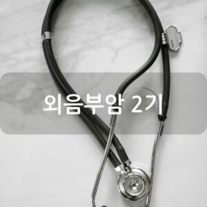외음부암 2기
