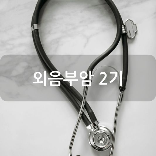 외음부암 2기: 원인, 증상, 치료 방법 알아보기!