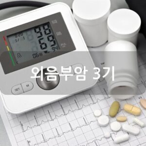 외음부암 3기