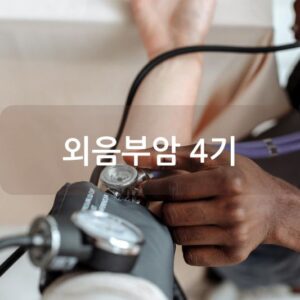 외음부암 4기