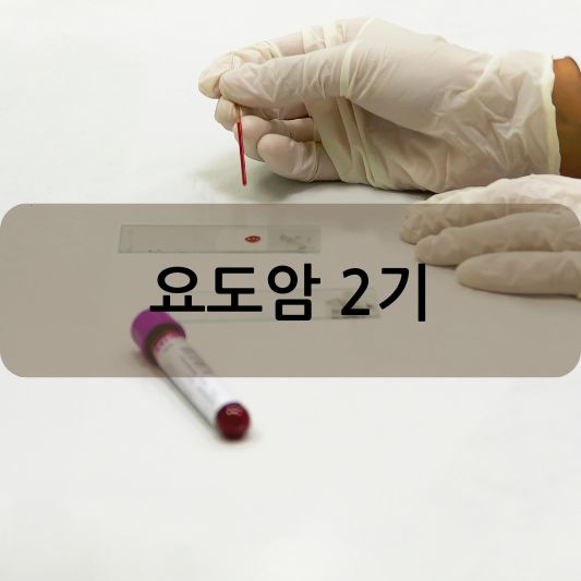 요도암 2기: 원인, 증상, 치료 방법 알아보기!
