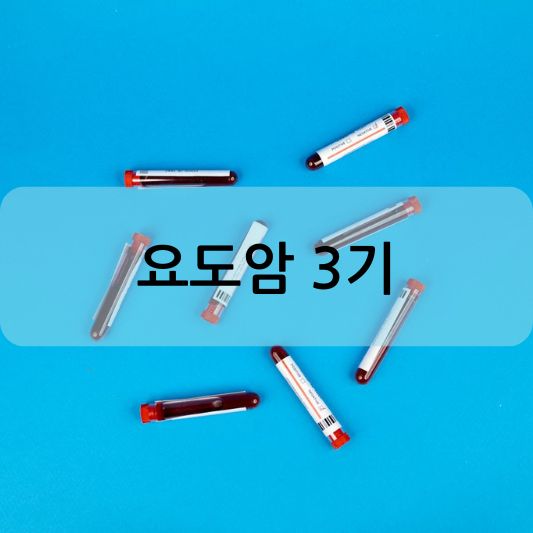 요도암 3기: 원인, 증상, 치료 방법 알아보기!