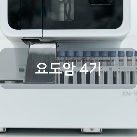 요도암 4기: 원인, 증상, 치료 방법 알아보기!