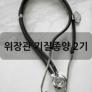 위장관 기질종양 2기