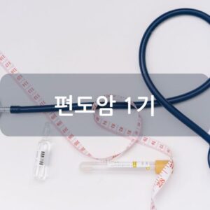 편도암 1기