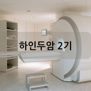 하인두암 2기