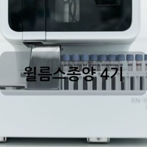 윌름스종양 4기