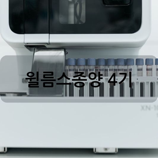 윌름스종양 4기: 원인, 증상, 치료 방법 알아보기!