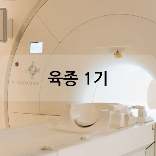 육종 1기: 원인, 증상, 생존율, 치료 방법 알아보기!